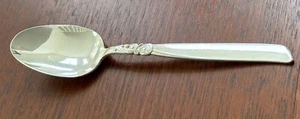 Oneida Community Plate, South Seas TABLE SERVING SPOONS - 22cms - Picture 1 of 5