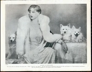 SPITZ DOG PAGES FROM HUCHINSONS ENCYCLOPAEDIA CIRCA 1934 - Foto 1 di 3