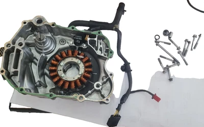 COPERCHIO CARTER +  STATORE ORIGINALE HONDA SH 300 2011 2012 2013 2014 - Imagen 1 de 4