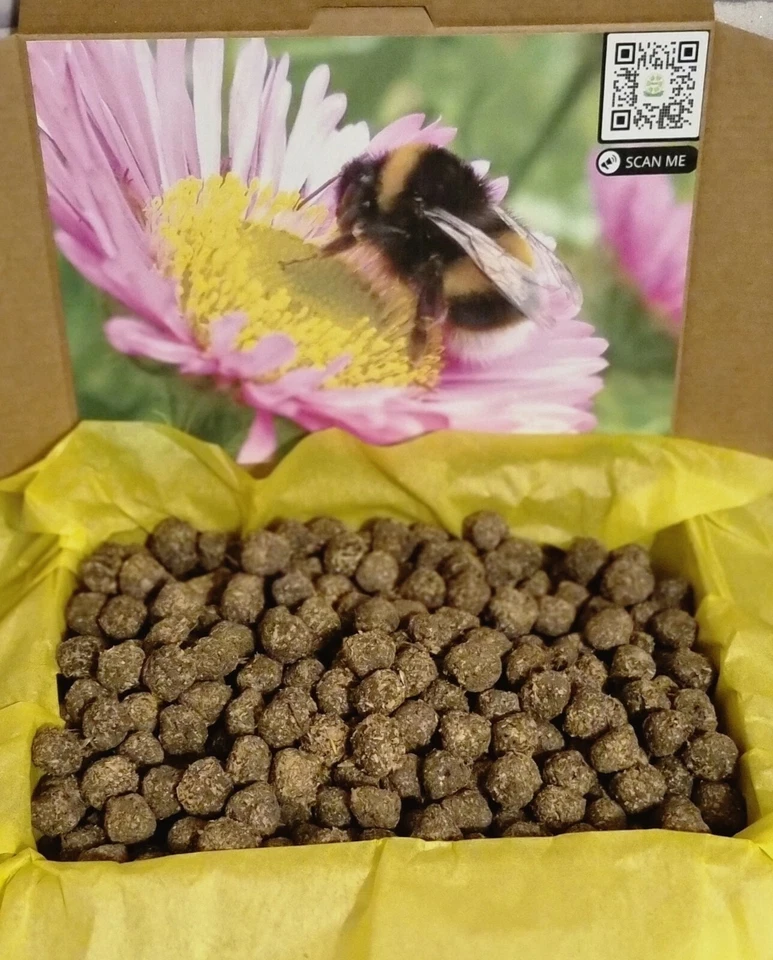 Bee Bombs Wildflower seeds gardener gift flowers meadow butterflies present ball - Image 1 of 4
