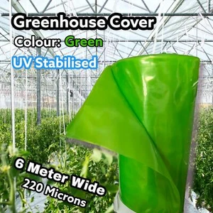 Green Plastic 6M WIDE POLYTHENE Greenhouse Cover UV Stabilised Heavy Duty Sheet - Picture 1 of 5