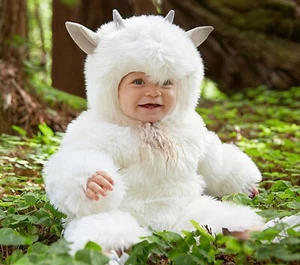 Pottery Barn Kids Woodland Goat Costume Baby 6-12 Months - Picture 1 of 3