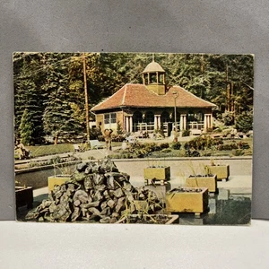 CARTOLINA COLORI COLLEZIONE KRYNICA PIJALNIA ZDROJU JANA - Foto 1 di 2