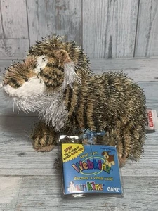 Webkinz Lil’ Kinz Tiger, HS032 Brand New With Sealed Tag And Unused Code - Picture 1 of 4