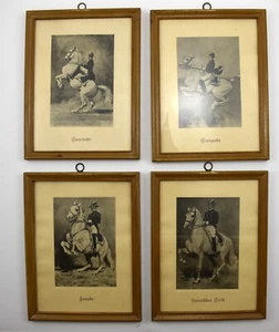 Lof di 4 Alexander Pock Courbette Croupade Levade Grinta Spagnola Equitazione Arte - Foto 1 di 18