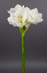 Große Amaryllis 65cm weiß-creme GA Seidenblumen Kunstblumen künstliche Blumen
