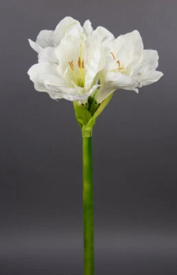 Große Amaryllis 65cm weiß-creme GA Seidenblumen Kunstblumen künstliche Blumen - Bild 1 von 3