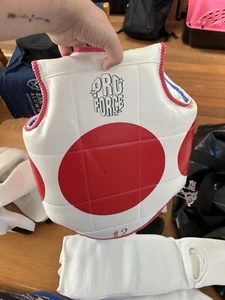 Kids Sparring Gear Never Used With Bag - Picture 1 of 4