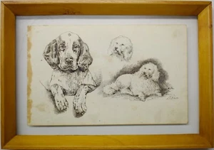 Drawing Design Disegno DOPPIO China su Carta B.LAVA "CANI" 1889 firmata - Picture 1 of 4