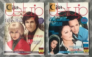 SASHA MONTENEGRO & SILVIA PINAL & JULIO ALEMAN LOT OF 2 FOTONOVELAS MEXICO 1973 - Picture 1 of 5