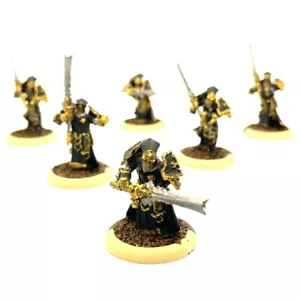 Knights Exemplar 6 Painted Miniatures Protectorate of Menoth Warmachine - Picture 1 of 7