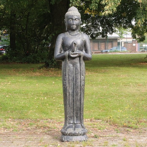 Afbeelding 1 van 7