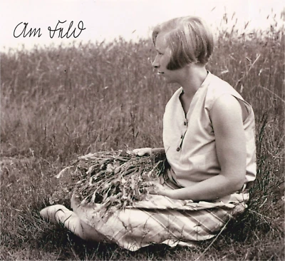 STEIN "Am Feld CD Forseti Death In June Leger Des Heils Sonne Hagal Seelenthrohn - Bild 1 von 2