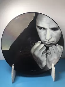 The Christians - Words (12", Single) RARE PICTURE DISC RECORD VINYL - Imagen 1 de 2