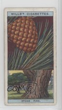 1924 Wills Flowering Trees & Shrubs Tobacco Stone Pine #38 1i3