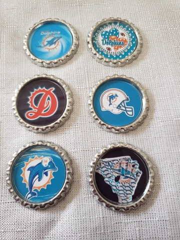 Miami Dolphins Magnets Cover