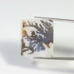 Dendrite Agate Shazar Cabs Natural Scenic Gems 23x20mm Smooth Baguette DIY SA-85 - Picture 1 of 10