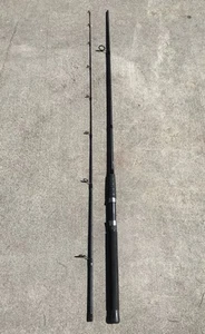 South Bend Black Beauty BBSS-962LSP 2-pc 9’6” Light Action Surf  Spinning Rod - Picture 1 of 7