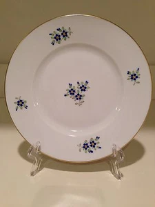 Hochst Vergissmeinnicht handbemalter Porzellan Teller #2 Made In Germany Neu - Bild 1 von 6