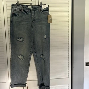 Jessica Simpson Lived In Vintage Authentic Denim Size 30 NWT - Picture 1 of 10
