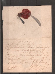 SCHWEDEN KLASSISCHER VOGELFEDERBEZUG - 2930 - Bild 1 von 3