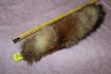 #2 Beautiful Tail of FOX High Quaility Taxidermy