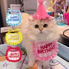 with Digital Stickers Pet Birthday Party Hat Bib  Birthday Party