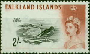 Falkland Islands 1960 2s Black & Brown-Red SG204 Fine LMM - Picture 1 of 1