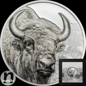 BISON - Mongolei 2025 - 1 Oz Silber PP Proof + Ultra High Relief - BOX - Bild 1 von 9
