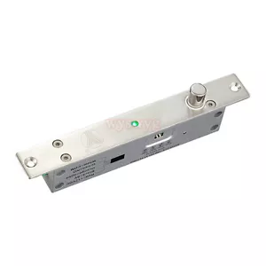 YLI YB-500B 12 V elektrisches Fallriegel-Türschloss ausfallsicher Timer Verzögerung Türstatus - Bild 1 von 7