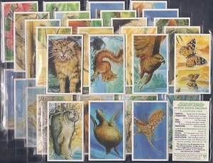 **BULK BUY 50 SETS** BROOKE BOND (TEA)- GOING WILD (50x M40 CARDS) EXC+++ - Picture 1 of 1