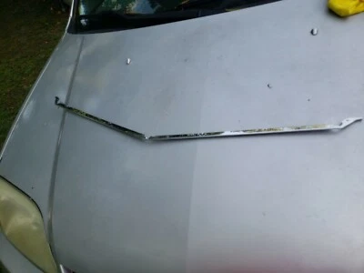 NOS GM 1975-1976 BUICK SKYLARK PARRILLA INFERIOR ACERO INOXIDABLE MOLDURA-PARTE 1247018 Foto 1 de 4