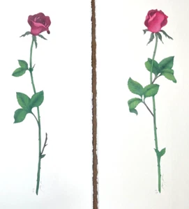 2 Beautiful Artwork of Roses, Flowers Watercolor & Color Pencil, Signed - Picture 1 of 8