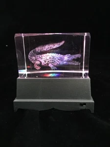 Crocodile- 3D Laser Etched Crystal Block With 4 Lights LED Light base - Picture 1 of 3