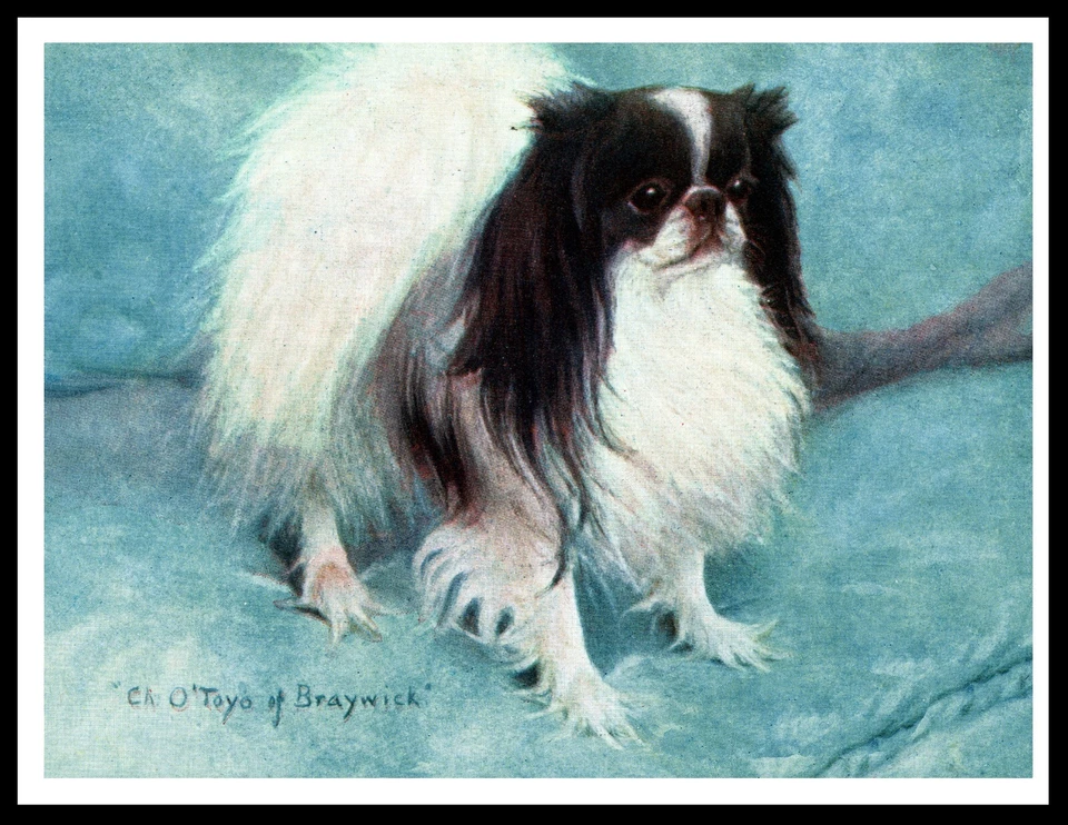 JAPANESE CHIN EARLY NAMED CHAMPION DOG VINTAGE STYLE DOG ART PRINT POSTER - Image 1 of 1