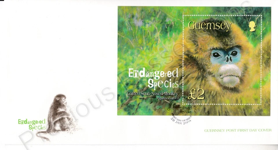GUERNSEY FDC PRIMER DÍA CUBIERTA 2004 ESPECIES EN PELIGRO DE EXTINCIÓN SELLO MONO NARIZ DESAIRE Foto 1 de 1