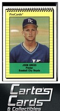 John Gross 1991 ProCards #1391  Baseball City Royals