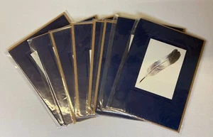 Feather Illustrated Blank Greeting Cards Lot of 8, Gallery Five - Bild 1 von 1