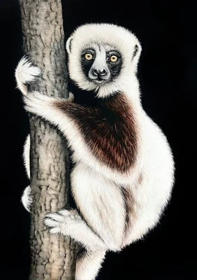 SALE * Original LEMUR Scratchboard Art Wildlife Painting Animal Portrait Primate - Image 1 of 2
