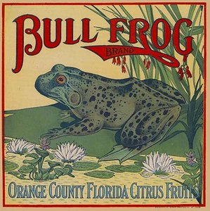 Impresión artística de etiqueta de caja de cítricos naranja rana toro del condado de Orange Florida - Imagen 1 de 1