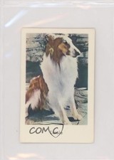 1963 Dutch Gum Unnumbered Set 2 (Sans Serif) Lassie f5h