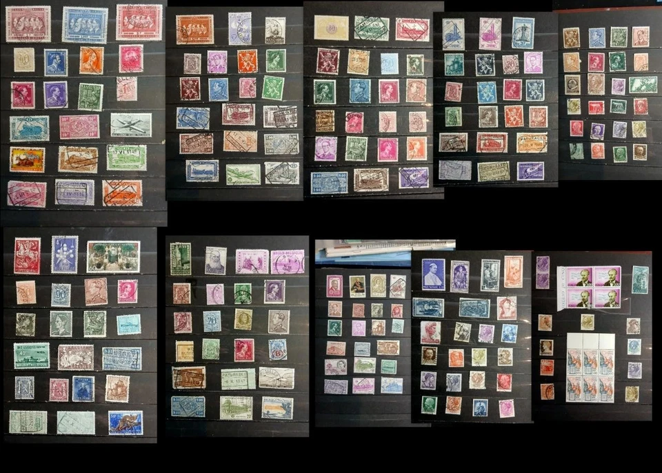 Great Stamp Collection from Belgium, Belgium Congo Ext, Italy & The Vatican - Image 1 of 4