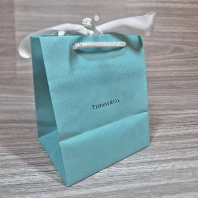 TIFFANY & CO. Tiffany & Co Gift Bag Robins Egg Blue Small With Handles And Ribbon Tie 6×5×4