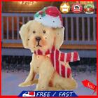 Winter Glowing Dogs Wearing Xmas Hat Ornaments LED Outdoor Party Ornaments (H)