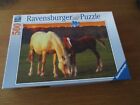 Ravensburger Puzzle Pferde 500 Teile No 143474 Stute/Fohlen