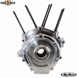 Estuches de motor pulidos con tacos placa de sumidero y herrajes aptos para RevTech3/cigüeñal - Imagen 1 de 10
