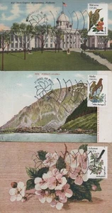 1953/2002 State Birds & Flowers - Juego de 50 postales vintage FDI - State Cap's - Imagen 1 de 6
