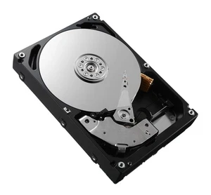 Dell XPJ47, 3.5 Zoll, 4000 GB, 7200 RPM - Afbeelding 1 van 1