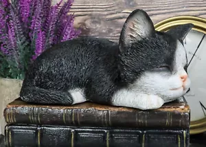 Realistic Bicolor Black and White Cat Kitten Sleeping Statue Figurine Decor - Picture 1 of 8