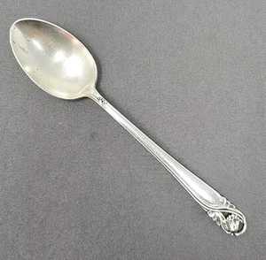 International Spring Glory Sterling Silver Teaspoon - 6 Inches - Picture 1 of 9